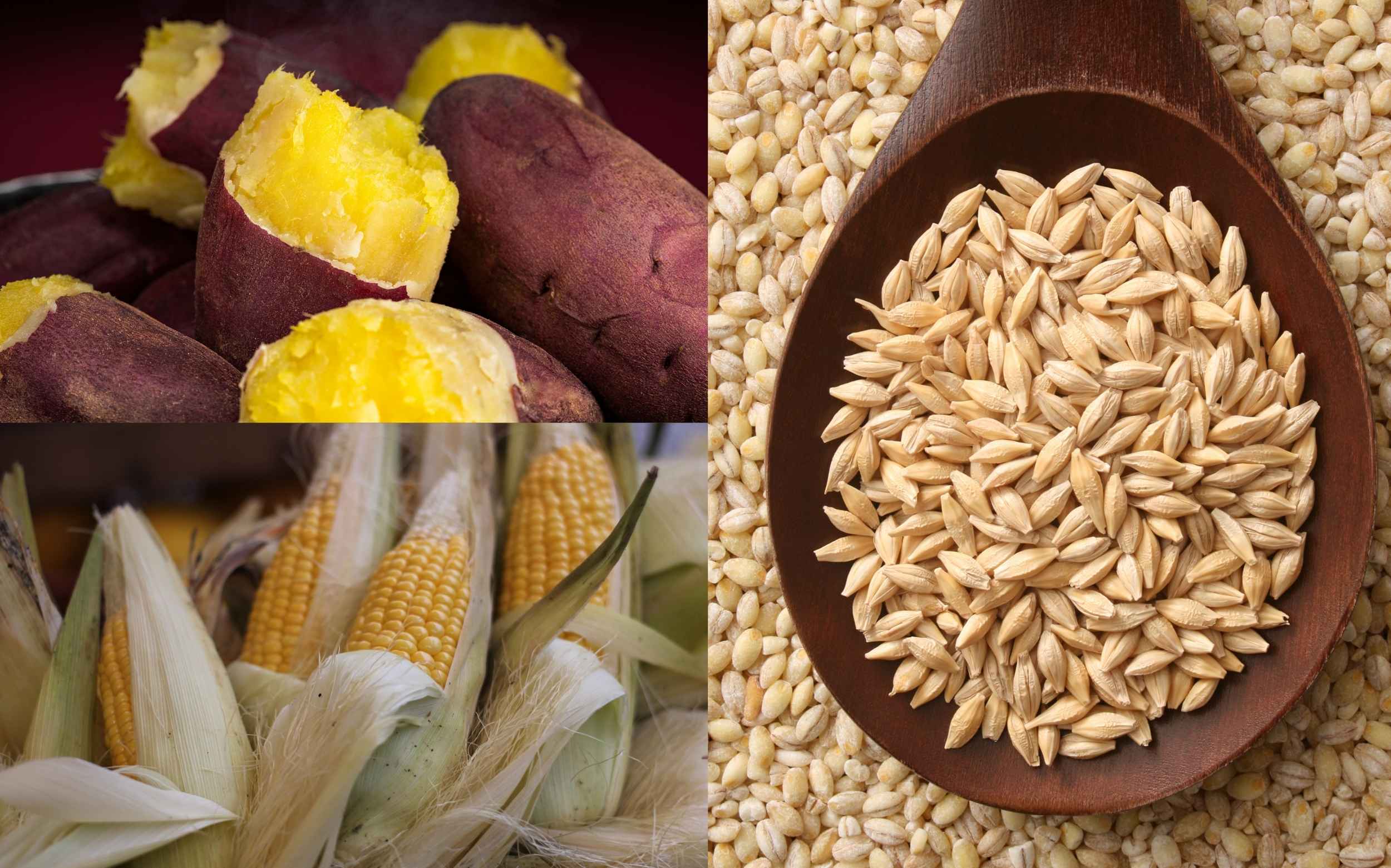 Ngoài rau củ quả và ngũ cốc, các thực phẩm như khoai lang, bắp ngô và lúa mạch cũng là những thực phẩm giàu chất xơ 