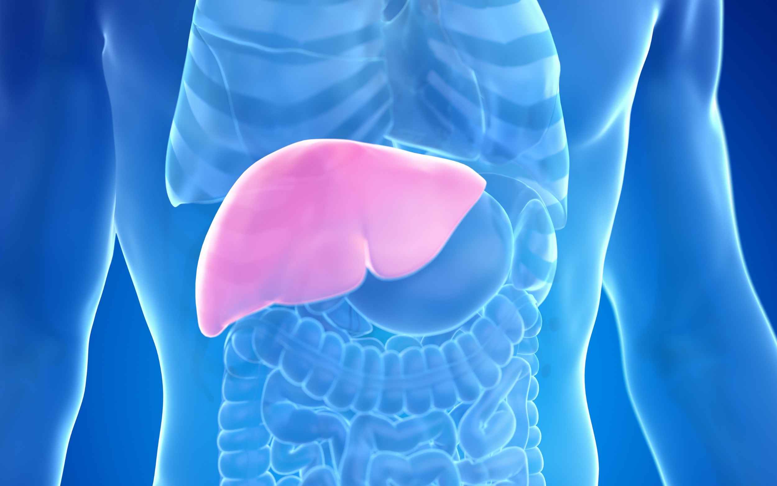 Detox thải độc gan là phương pháp được nhiều người ưa chuộng