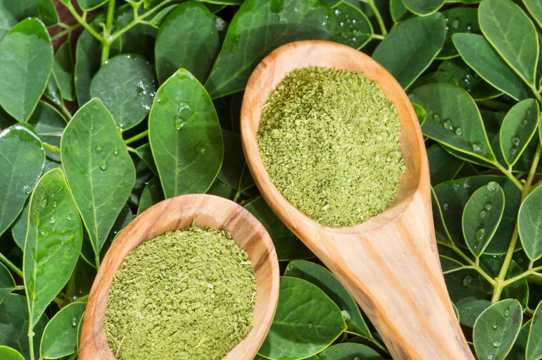 100g Rau Có Bao Nhiêu Chất Xơ? So Sánh Chi Tiết Các Loại Rau Phổ Biến